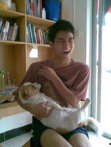 奇葩室友吃瓜视频全集免费观看,全集免费观看，笑料连连